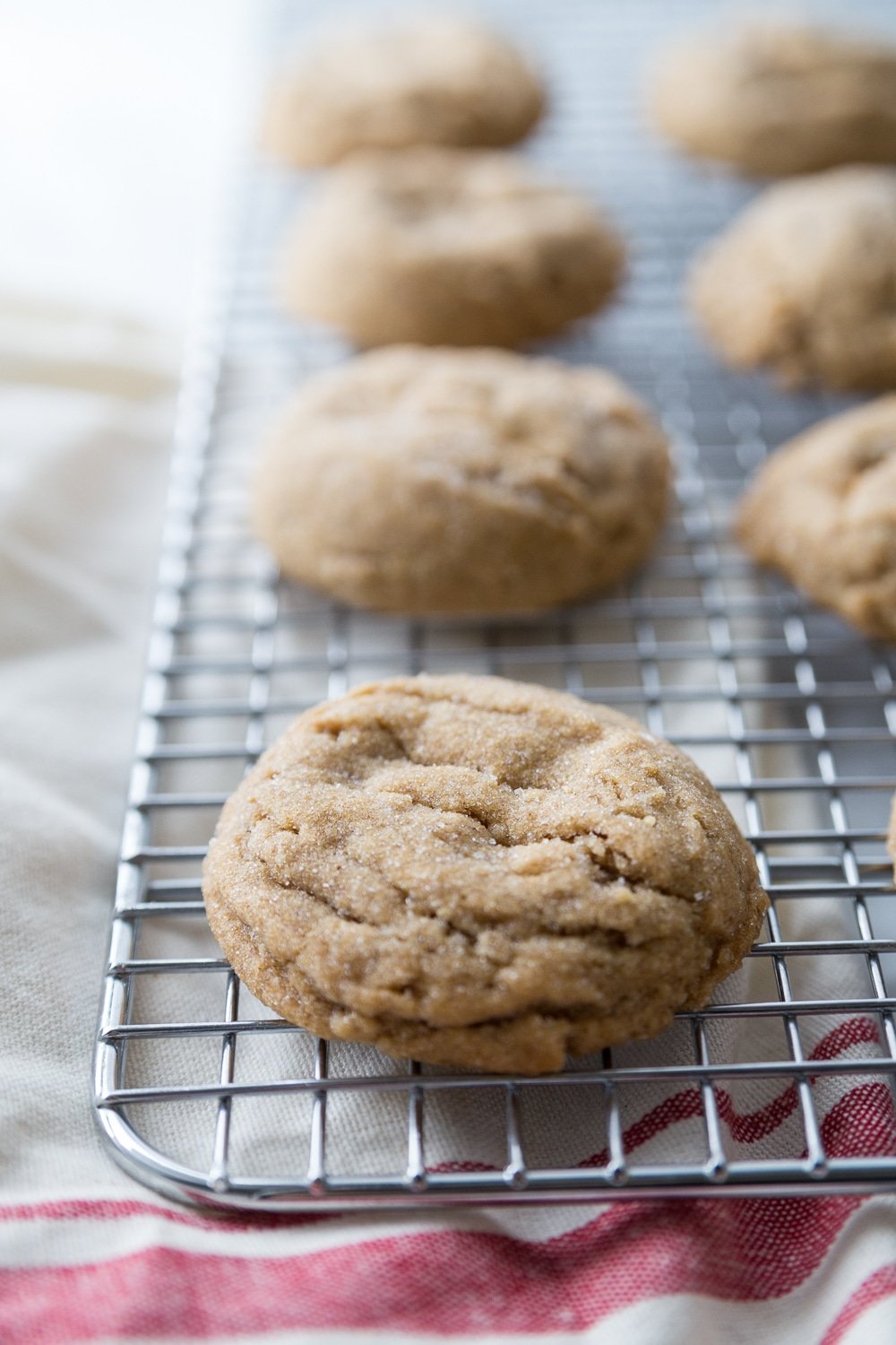 Rows of ginger molasses cookies on a cooling sheet