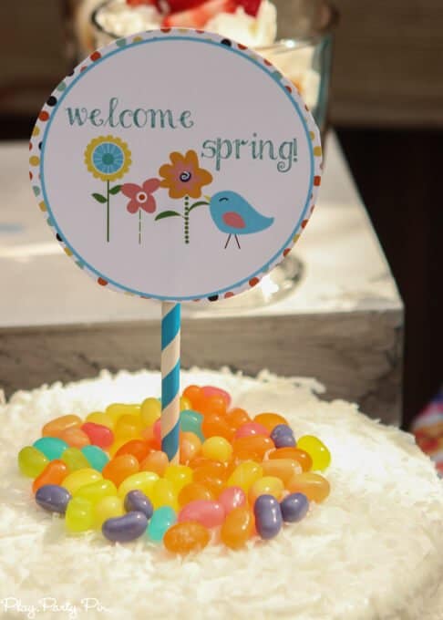 Love this it's a spring thing party with tons of spring dessert ideas, spring party games, and cute spring printables