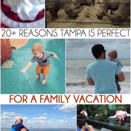 I had no idea there were so many awesome things to do in Tampa, definitely looks like one of the best places to vacation with kids!