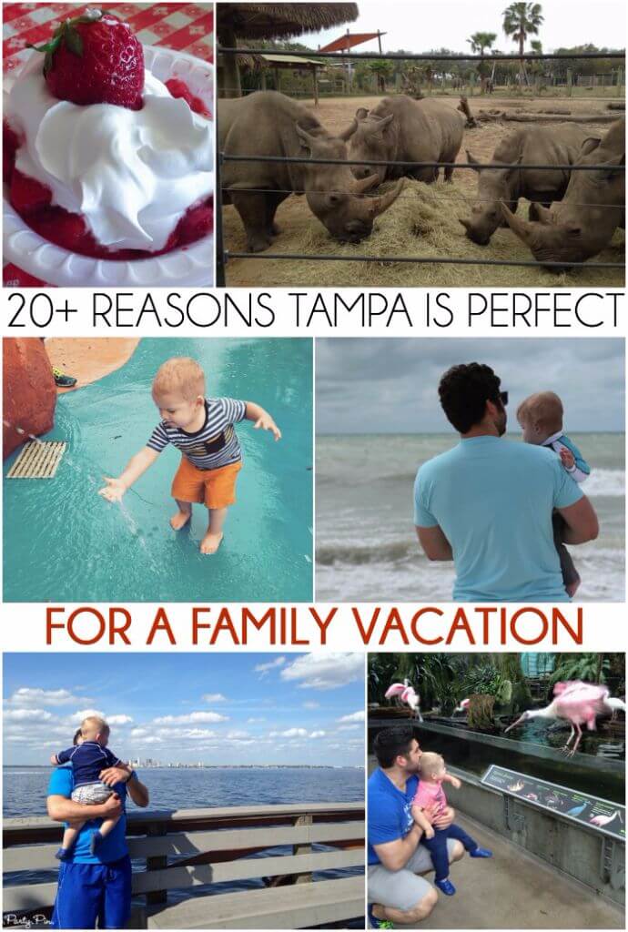 I had no idea there were so many awesome things to do in Tampa, definitely looks like one of the best places to vacation with kids!