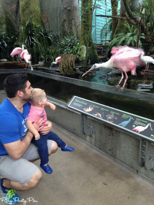 Things to Do in Tampa with Kids - 18