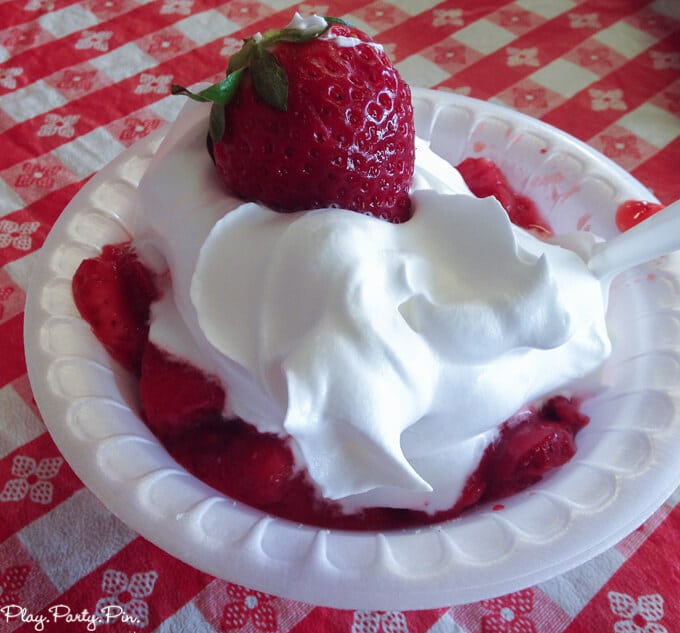 Things to Do in Tampa with Kids - 7