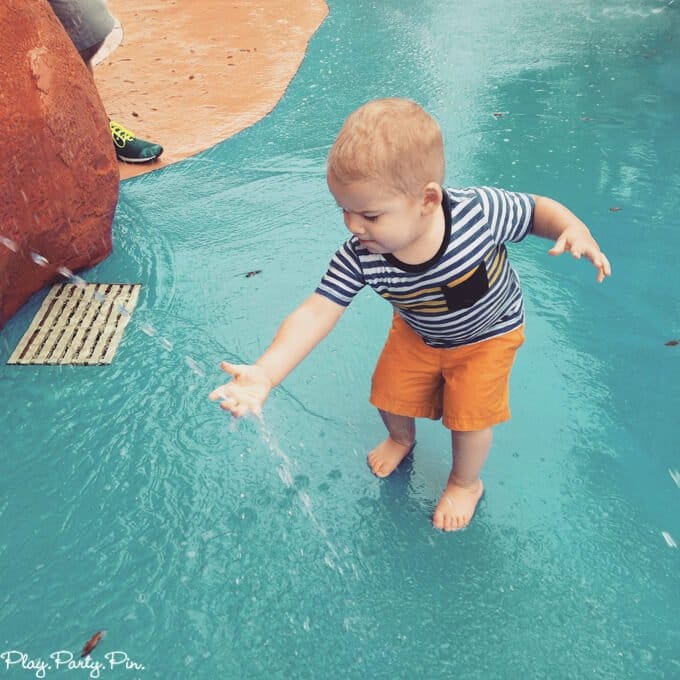 Things to Do in Tampa with Kids - 7
