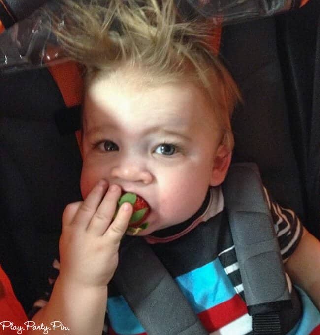 Things to Do in Tampa with Kids - 71