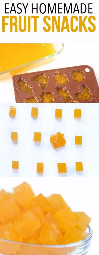 Mandarin Orange Homemade Fruit Snacks - 66