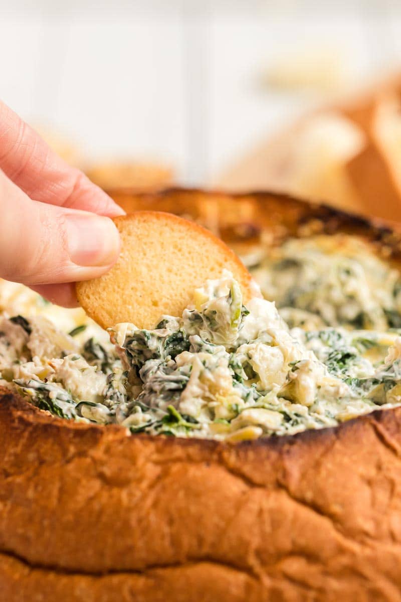 Chip dipped into spinach artichoke dip