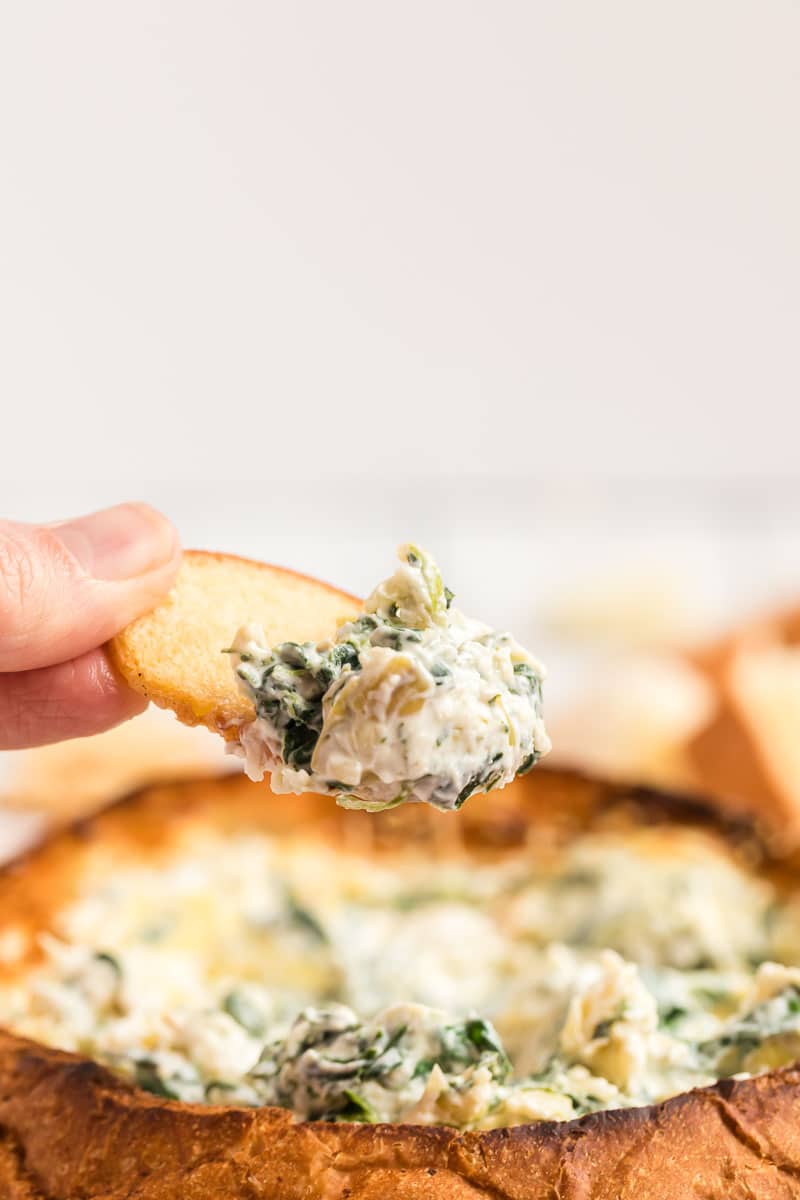 Bagel chip with spinach artichoke dip