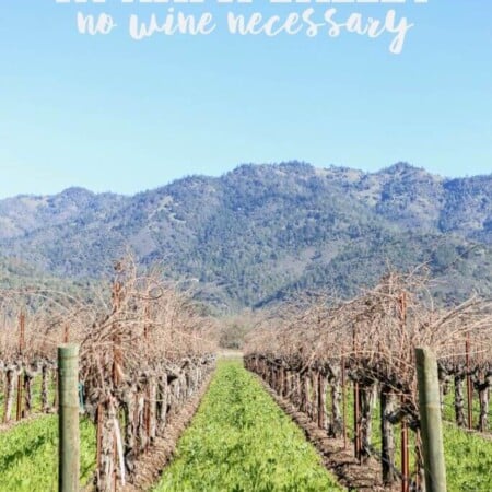 10 awesome things to do in Napa Valley, California, things that are great for everyone even if you don't drink wine. I seriously have to try mudding, sounds so awesome!