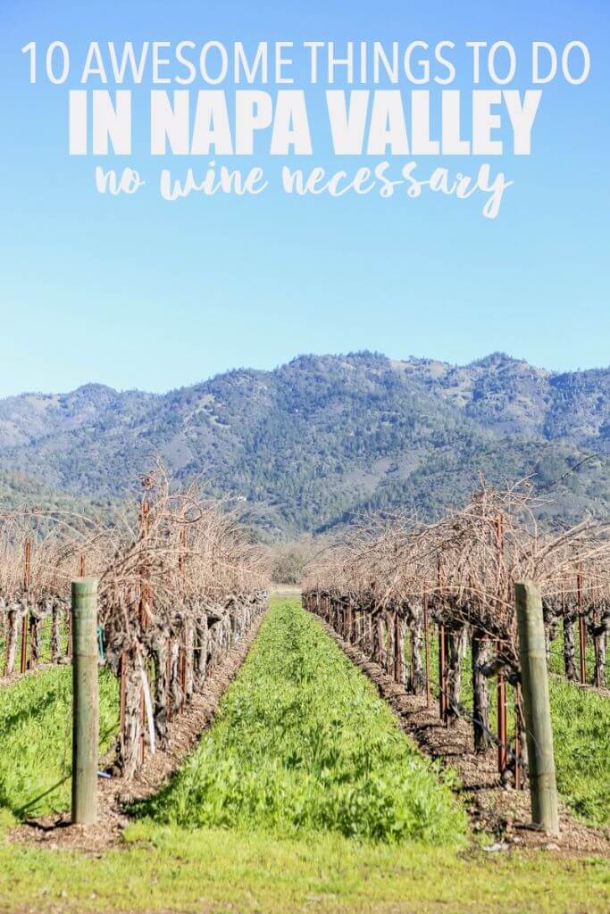 Best Places to Watch Sports in Napa Valley