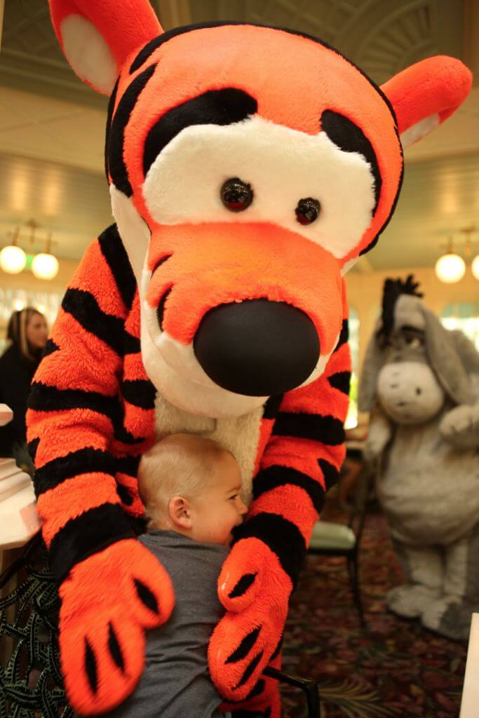Tips for Visiting Walt Disney World in One Day   Play Party Plan - 82