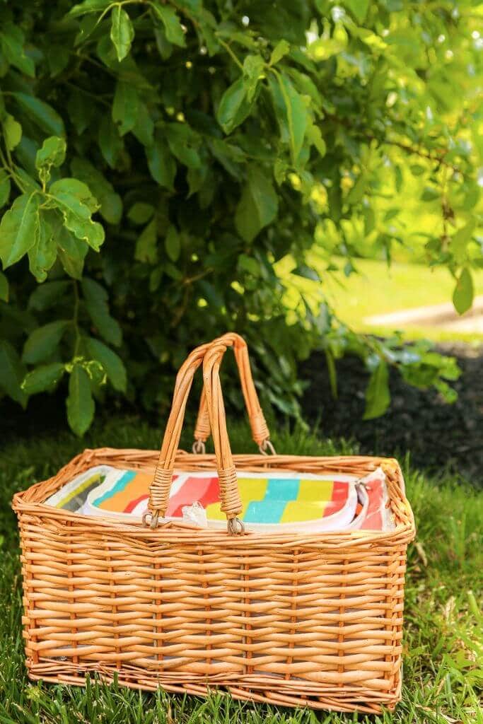 Free Printable Picnic Scavenger Hunt