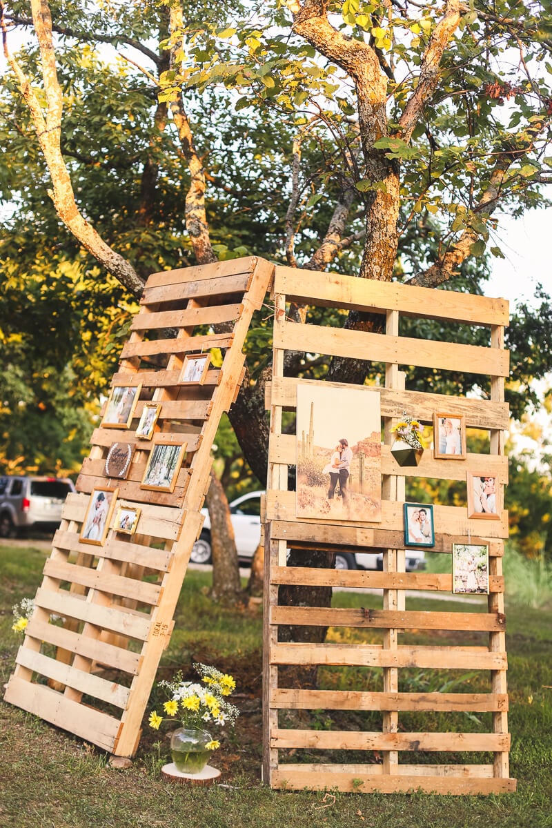 Palates leaning up against a tree with pictures on it