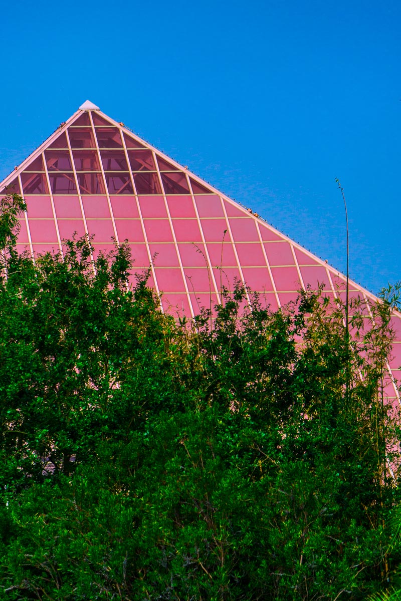 Moody Gardens is one of the top Galveston attractions