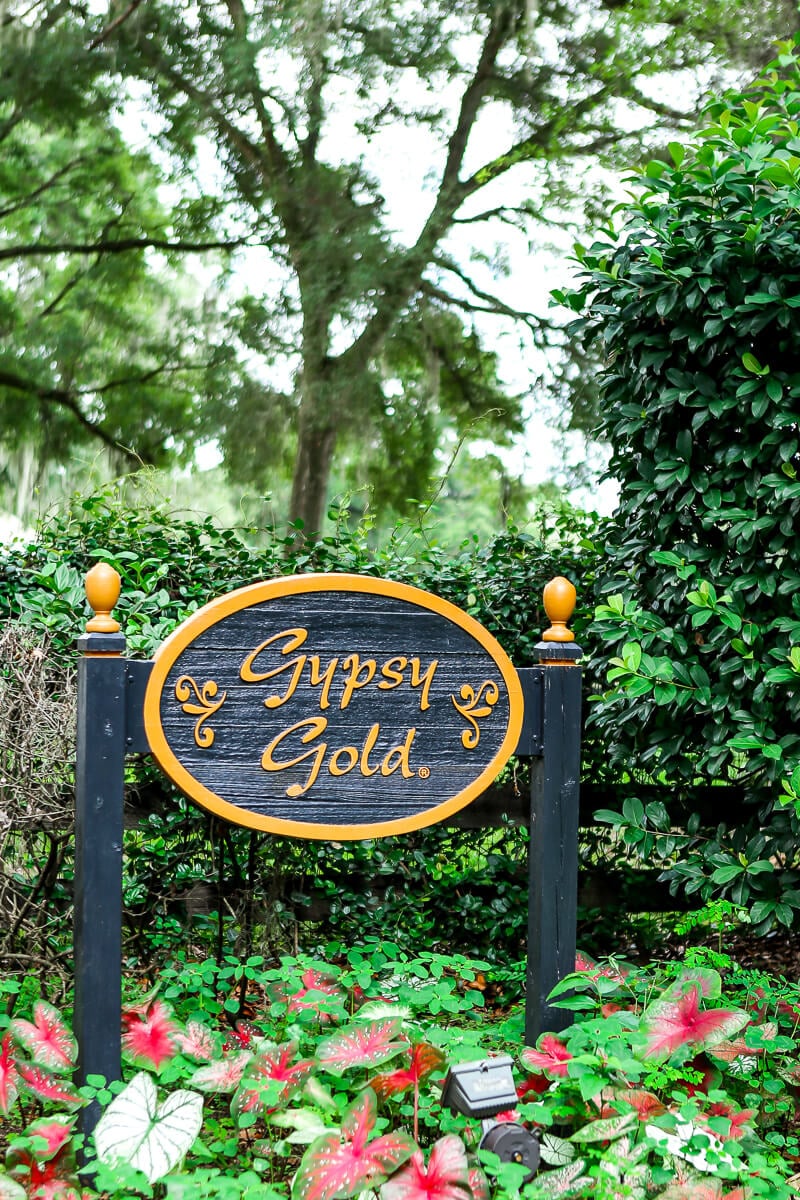 12 Fun Things to Do in Ocala Florida in 2022 - 16
