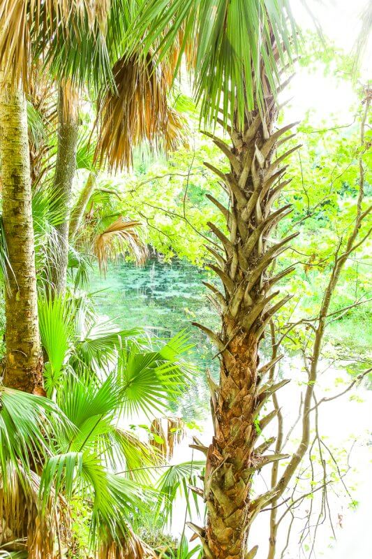 12 Fun Things to Do in Ocala Florida in 2022 - 18