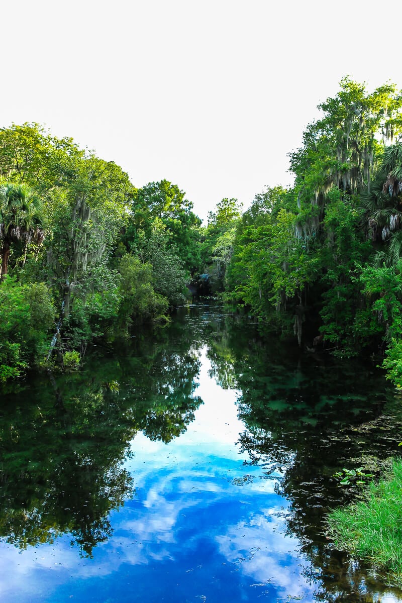 12 Fun Things to Do in Ocala Florida in 2022 - 62