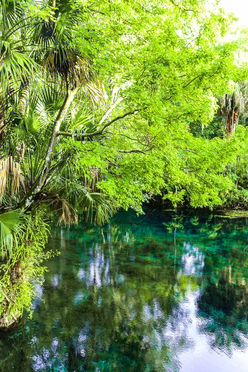 12 Fun Things to Do in Ocala Florida in 2022 - 31