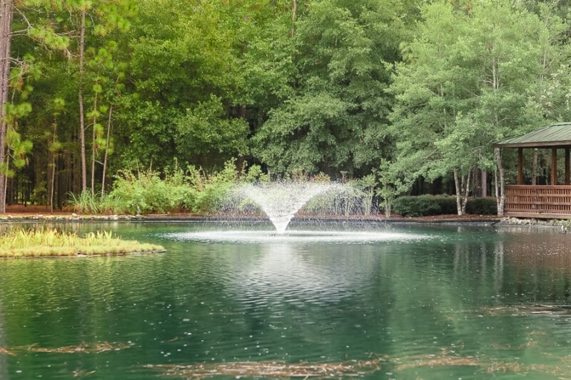 Best Things to Do in Ocala Florida