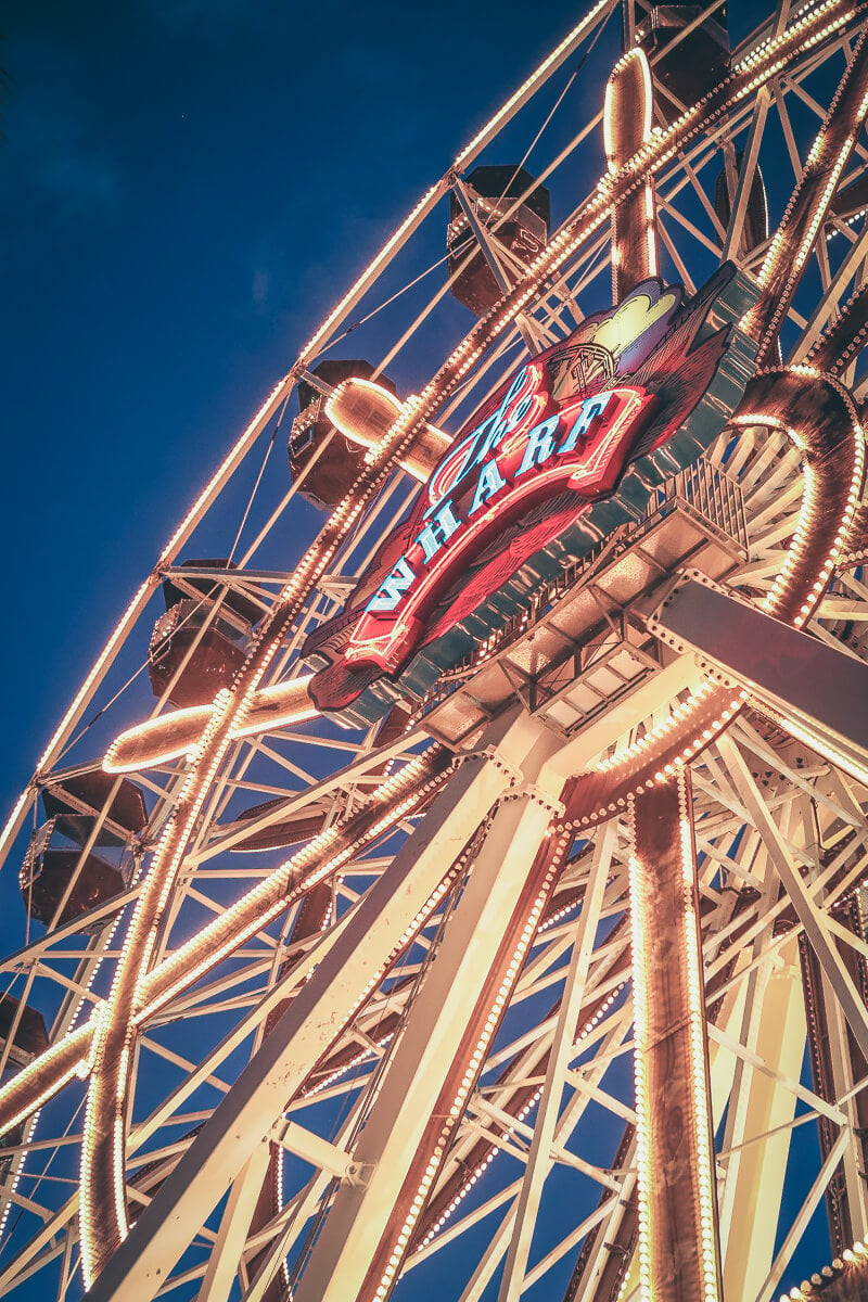 The Track Family Fun Park  Gulf Shores & Orange Beach