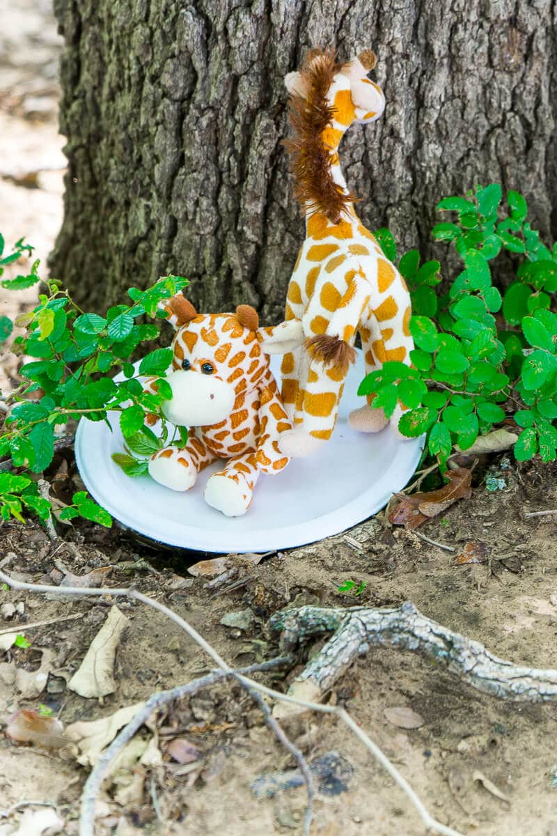 This animal safari scavenger hunt is perfect for an animal safari party or birthday celebration! Perfect for preschool aged kids who love animals! I’m definitely trying these fun scavenger hunt ideas for kids for my son’s next party! 