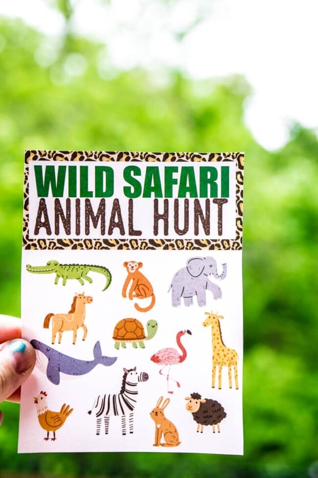 safari scavenger hunt ideas