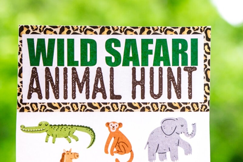Fun Animal Scavenger Hunt Ideas Guaranteed to Make Kids Smile