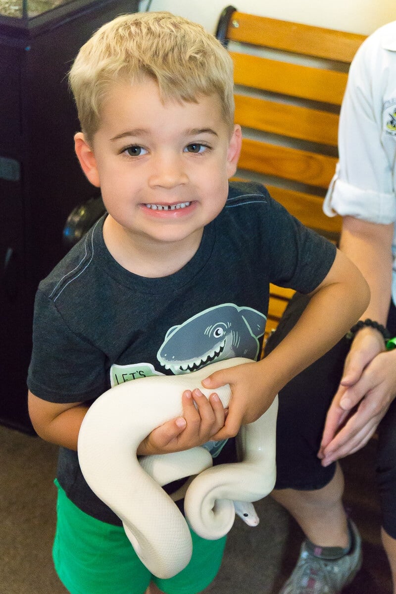 Hold a snake and see venom extracted at the Reptile Discovery Center - one of the best Daytona Beach attractions