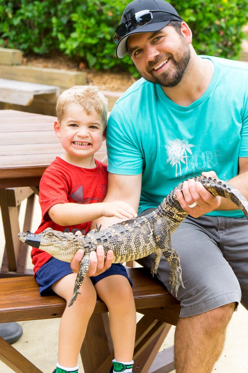 Holding alligators at Congo River Golf is one of the most fun Daytona Beach attractions