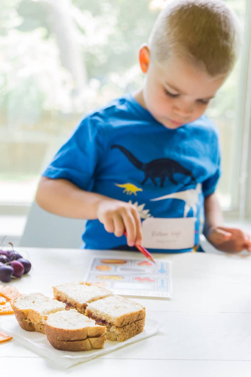 These lunch box ideas for kids make lunch more fun