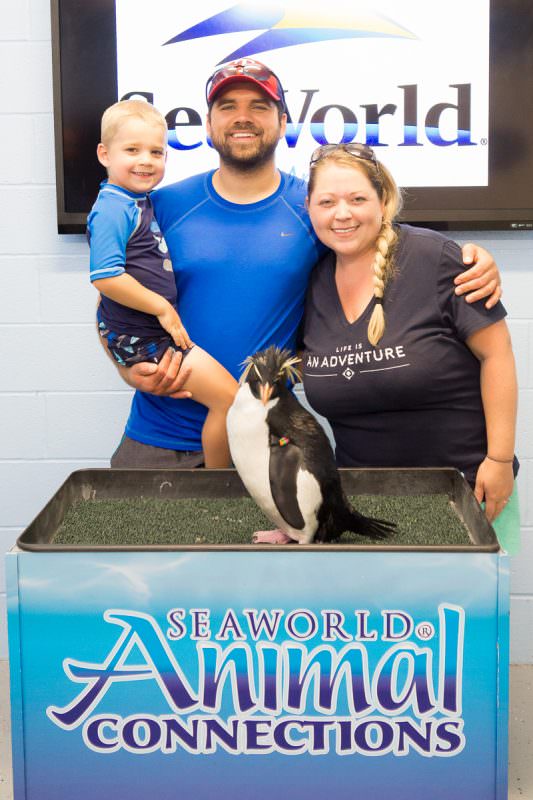 SeaWorld San Antonio has a plethora of animal interactions