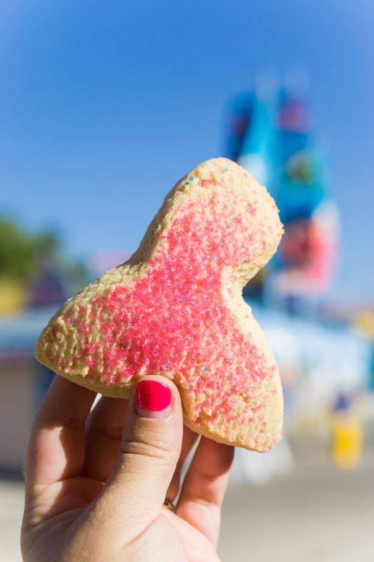 Whale tale cookies are one of the best parts of SeaWorld dining