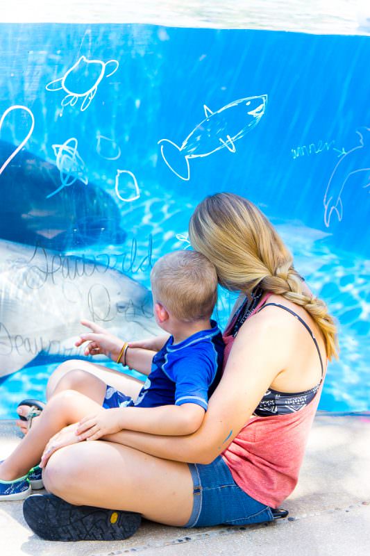 Check the SeaWorld San Antonio hours before visiting