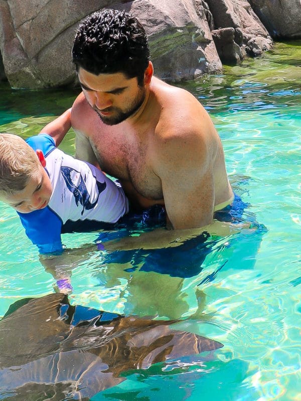 Stingray encounter at SeaWorld Aquatica is fun for all ages