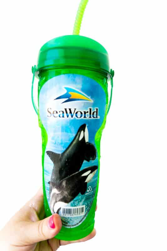 Get all the drinks you want with the SeaWorld dining package