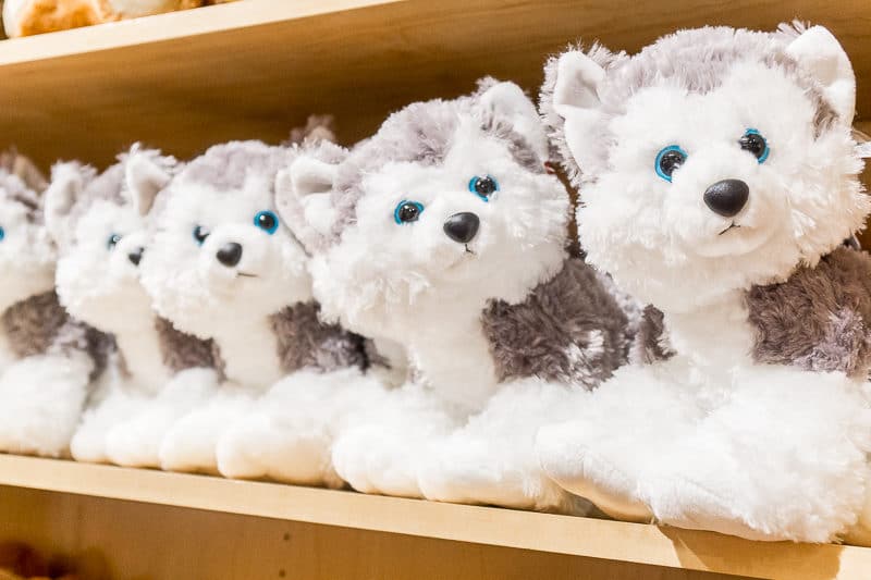 Great Wolf Lodge Grapevine has about a million types of stuffed wolves for sale