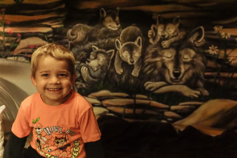 Kids will loved the themed suites at Great Wolf Lodge Grapevine