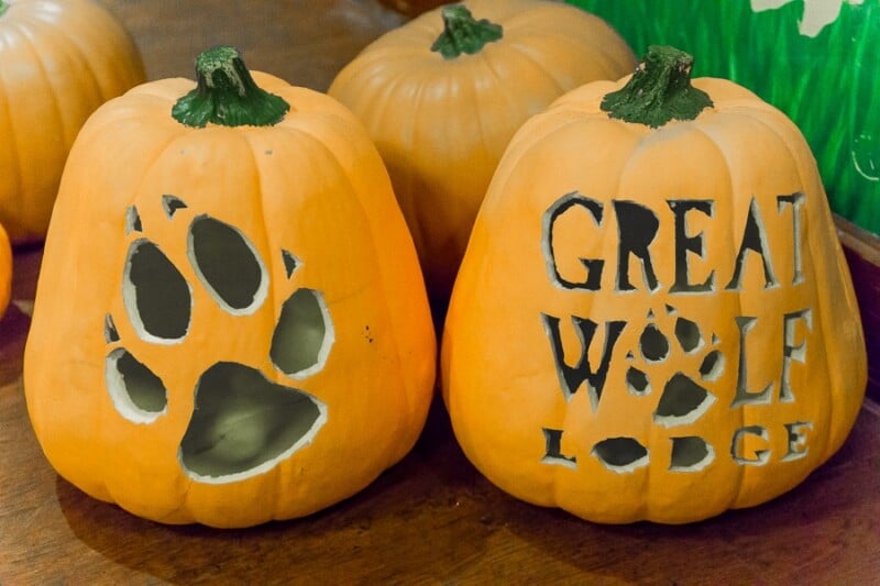 Decorate pumpkins at Great Wolf Lodge's Howloween celebration