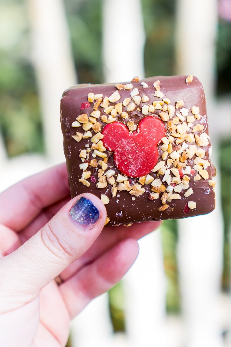 The peanut butter chocolate bars at Disneyland are the best