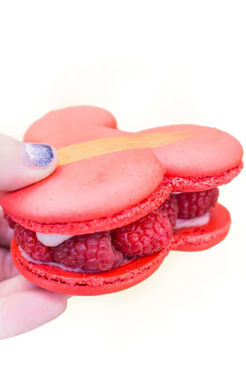 The raspberry rose macaron is the most popular food at Disneyland