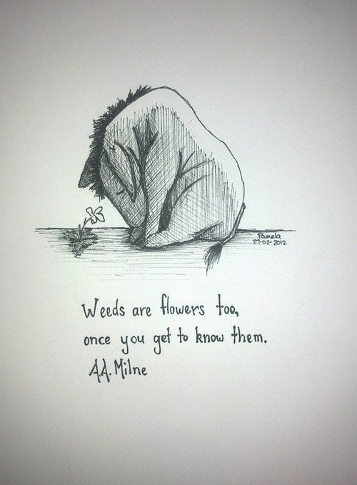 The best Winnie the Pooh quotes