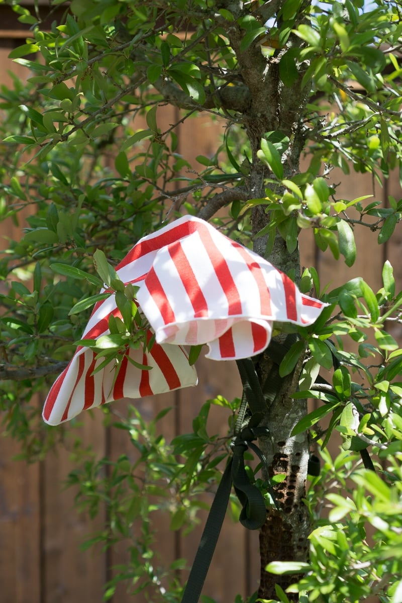 A flag in a tree - one of the best outdoor games