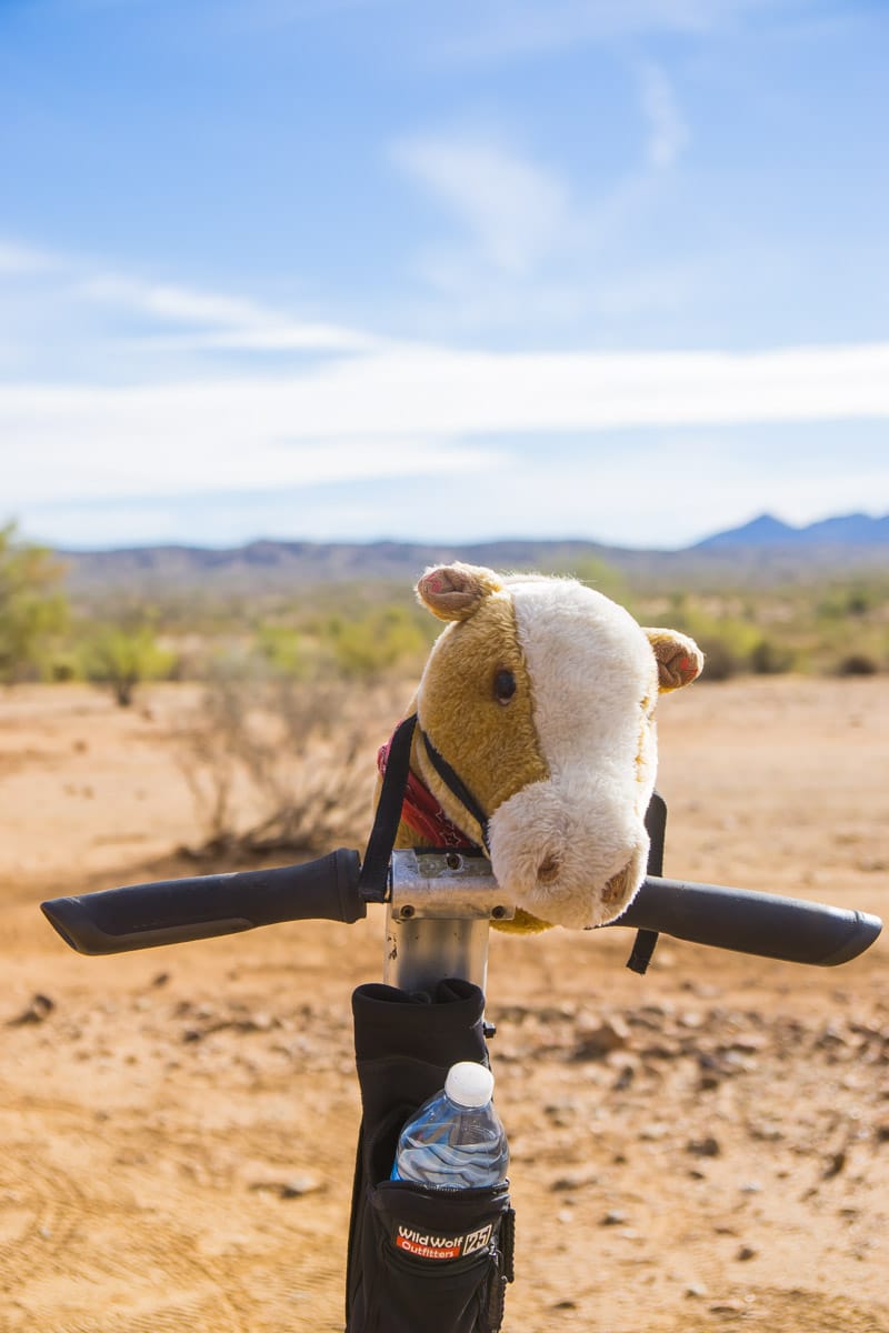 A desert segway tour is one of the most fun things to do in Phoenix AZ