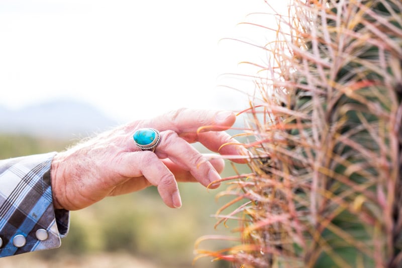 Touching a cactus on a Fort Mcdowell adventures tour