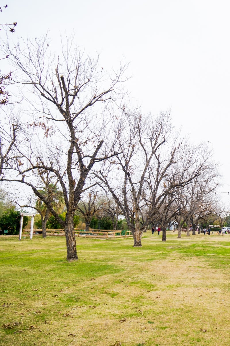 Exploring the Farm at South Mountain tops of the list of best things to do in Phoenix AZ