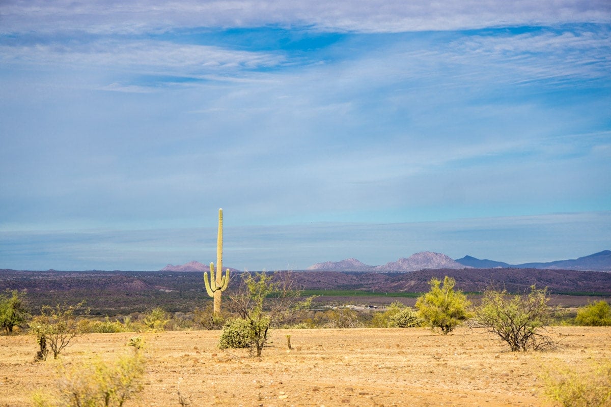 Getting into the desert is one of the best things to do in Phoenix