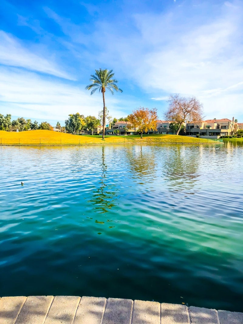 A golf course and spa help make the Hyatt Regency one of the more popular Phoenix family resorts