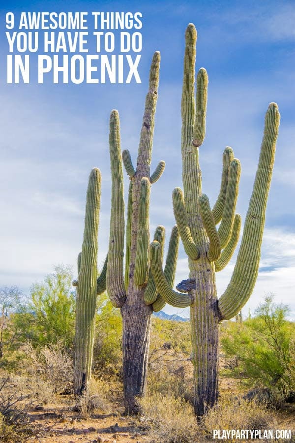 The best things to do in Phoenix Arizona whether you’re living there already or just going on vacation! Great restaurants to try, downtown nightlife to experience, must-see attractions, and of course things to do with kids! The ultimate resource for someone looking for what to do in Phoenix!