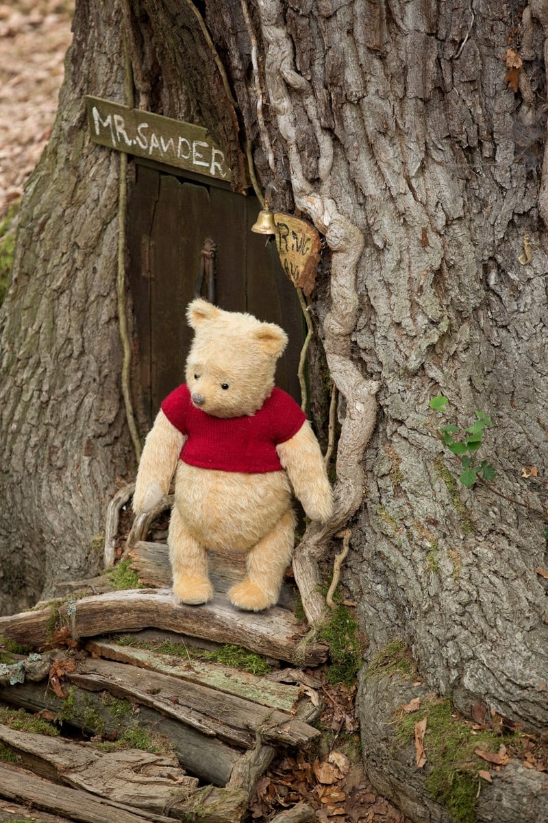 Winnie the pooh wandering out of his tree
