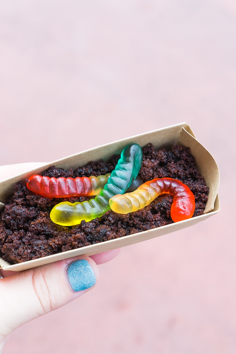 Dirt and Worms dessert at Mickey's Not So Scary Halloween Party