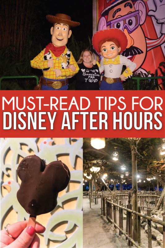 Everything you need to know about Disney After Hours 2019! Which rides are available, how much it costs, dates, characters you can meet, and more! And a full review and breakdown of each event at Hollywood Studios, Magic Kingdom, and Animal Kingdom!